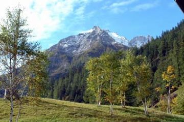 Frazione Brendo