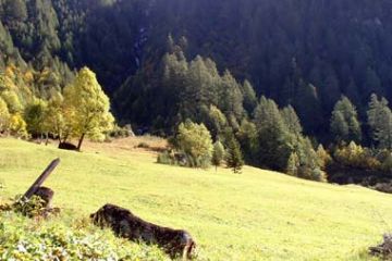 Frazione Grovella