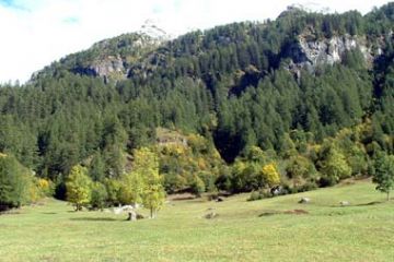 Frazione Grovella